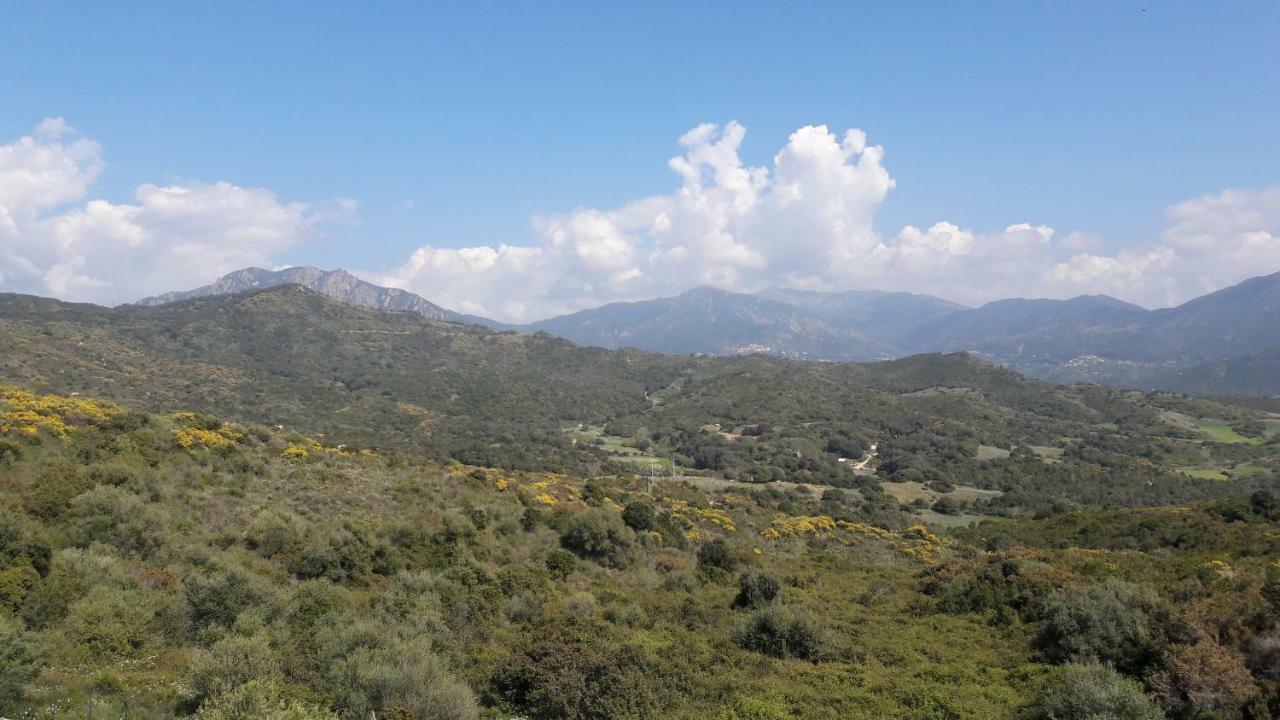 Residence Sejoina Calcatoggio  Εξωτερικό φωτογραφία